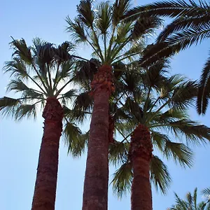 Apartamento Les Palmeres, Platja d'Aro (Playa de Aro)